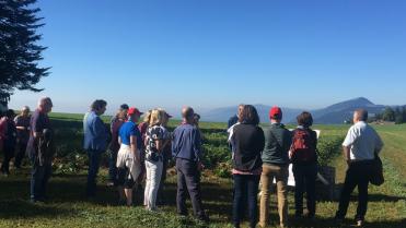 Neuchatel potato Field assays at la Frétaz (1,200m)