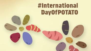 International Day of Potato