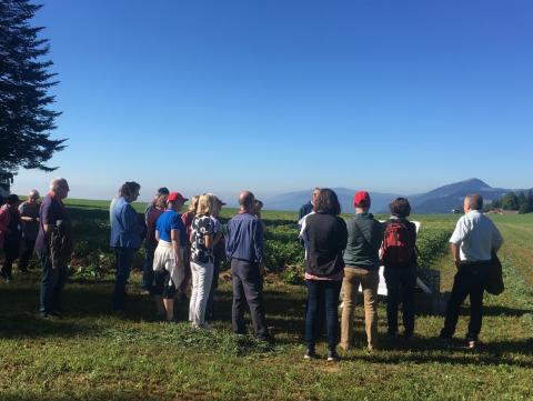 Neuchatel potato Field assays at la Frétaz (1,200m)