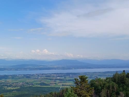 view